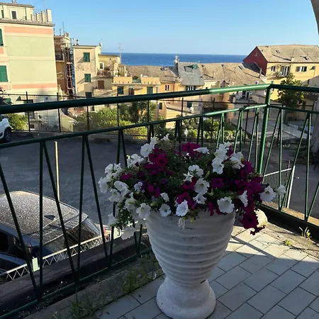 Appartement Casa Aysha *